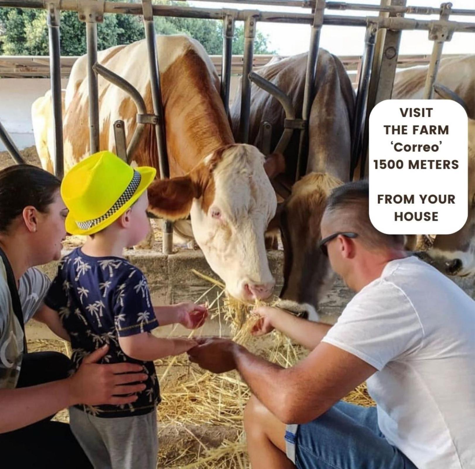 סן ויטו דיי נורמני La Corte Della Masseria מראה חיצוני תמונה
