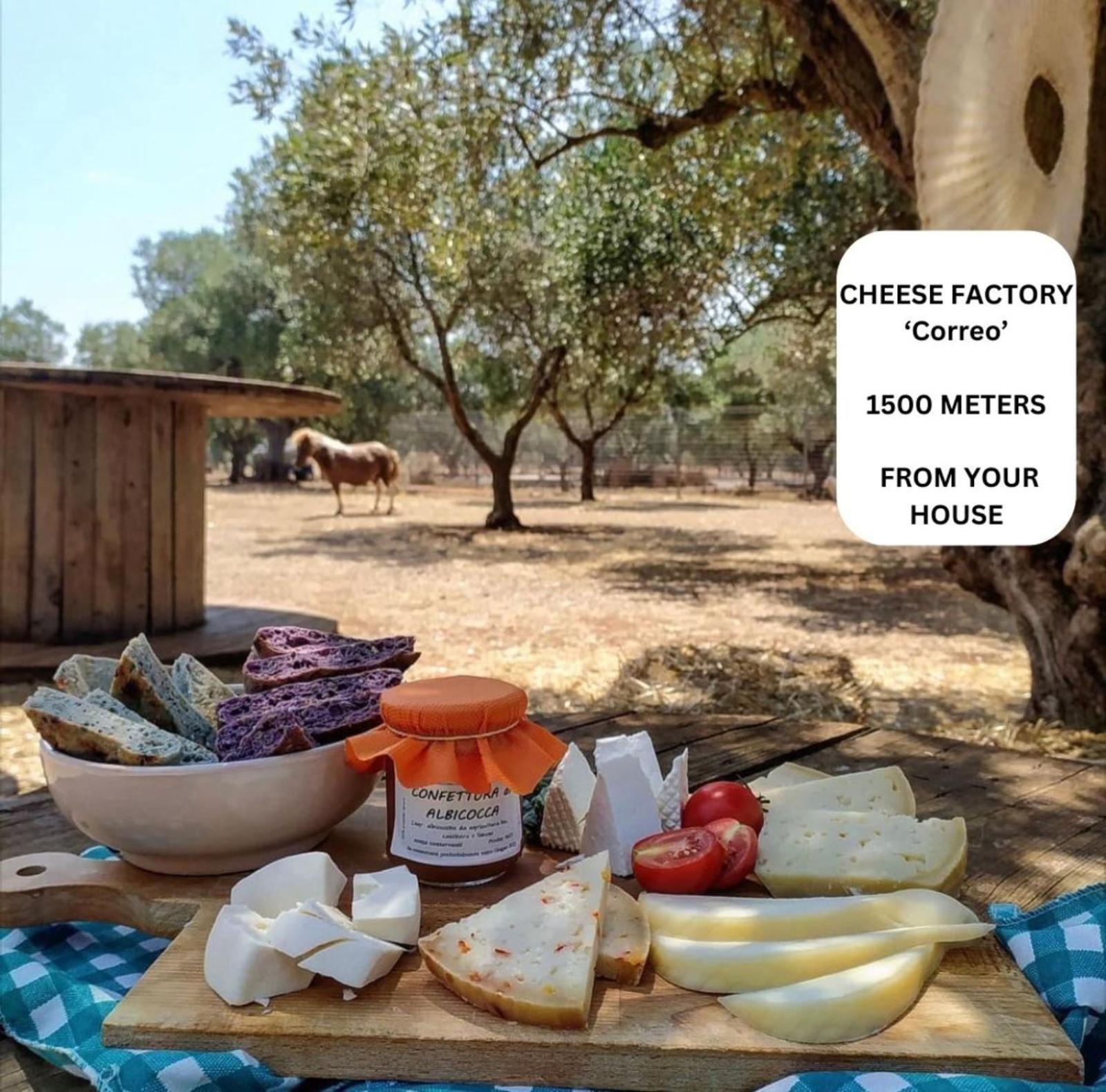 סן ויטו דיי נורמני La Corte Della Masseria מראה חיצוני תמונה