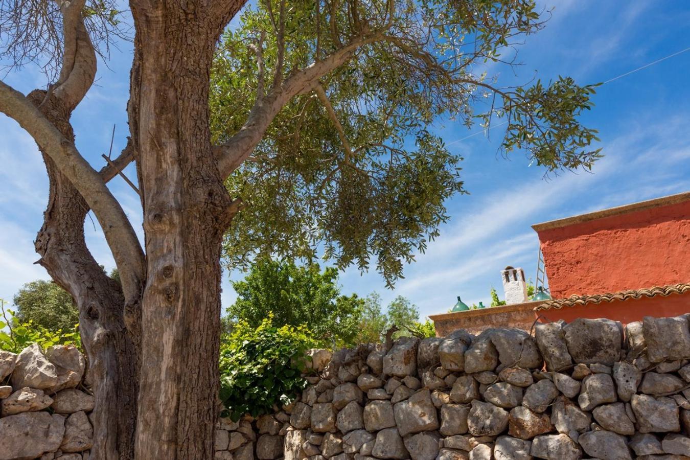 סן ויטו דיי נורמני La Corte Della Masseria מראה חיצוני תמונה